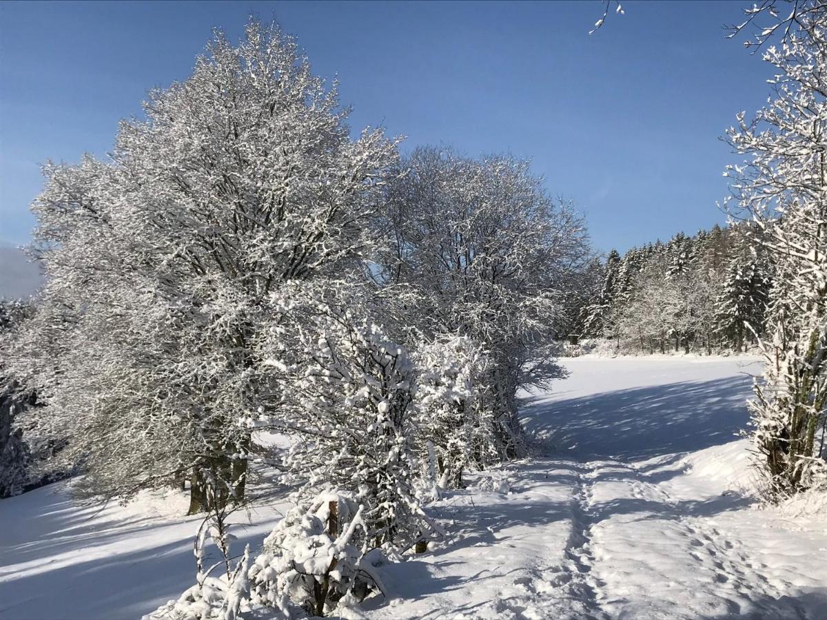 Villa Holgenbach - Penthouse- Und Ferienwohnung Im Nationalpark Eifel Schleiden Kültér fotó