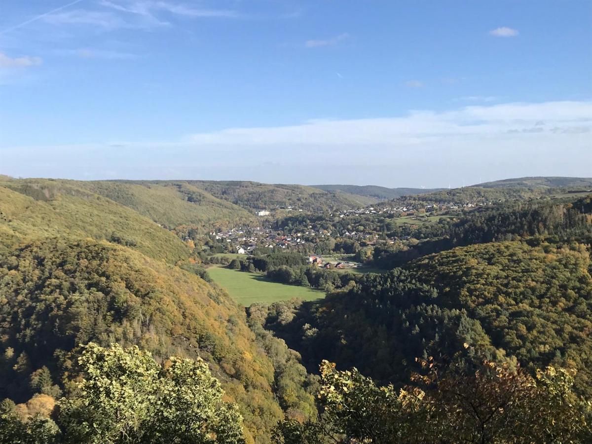 Villa Holgenbach - Penthouse- Und Ferienwohnung Im Nationalpark Eifel Schleiden Kültér fotó