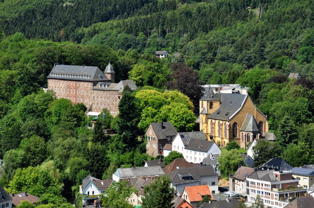 Villa Holgenbach - Penthouse- Und Ferienwohnung Im Nationalpark Eifel Schleiden Kültér fotó