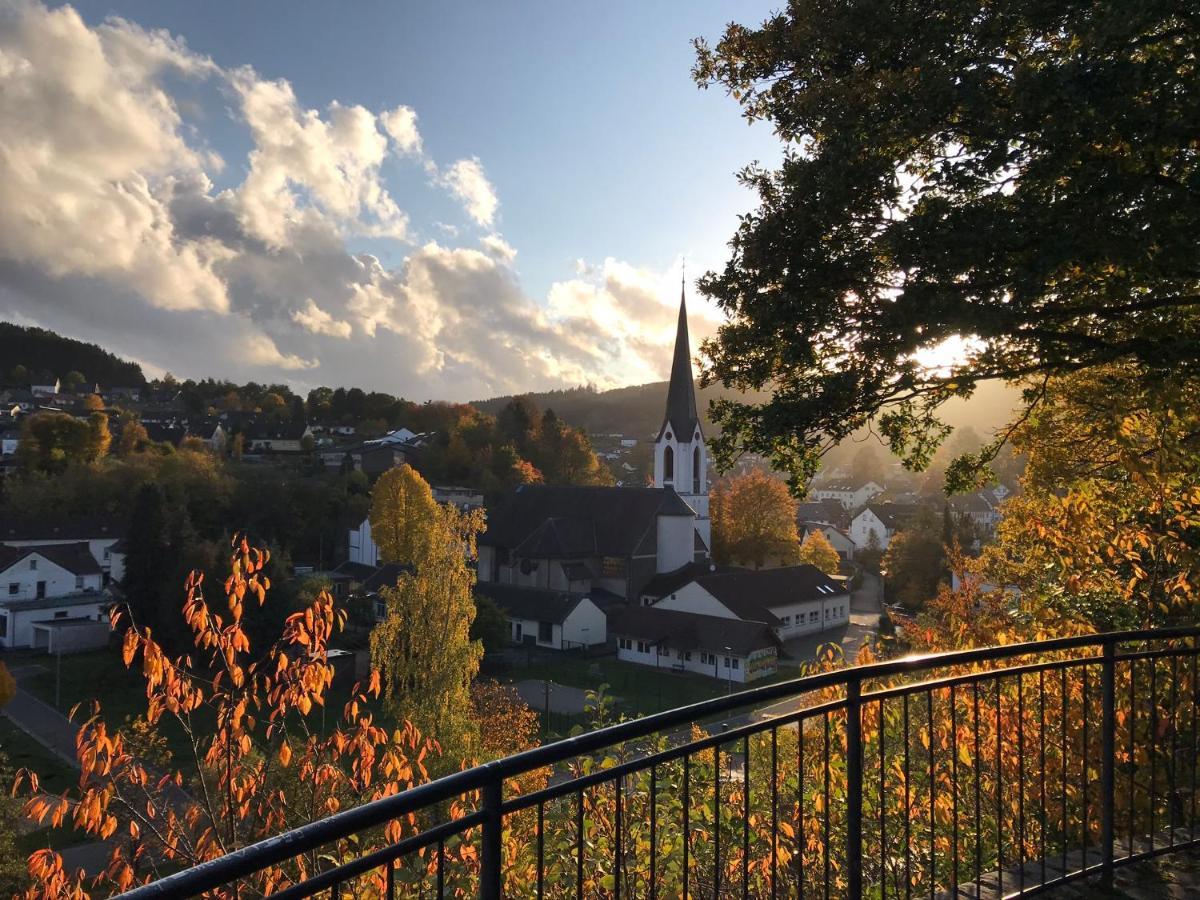 Villa Holgenbach - Penthouse- Und Ferienwohnung Im Nationalpark Eifel Schleiden Kültér fotó