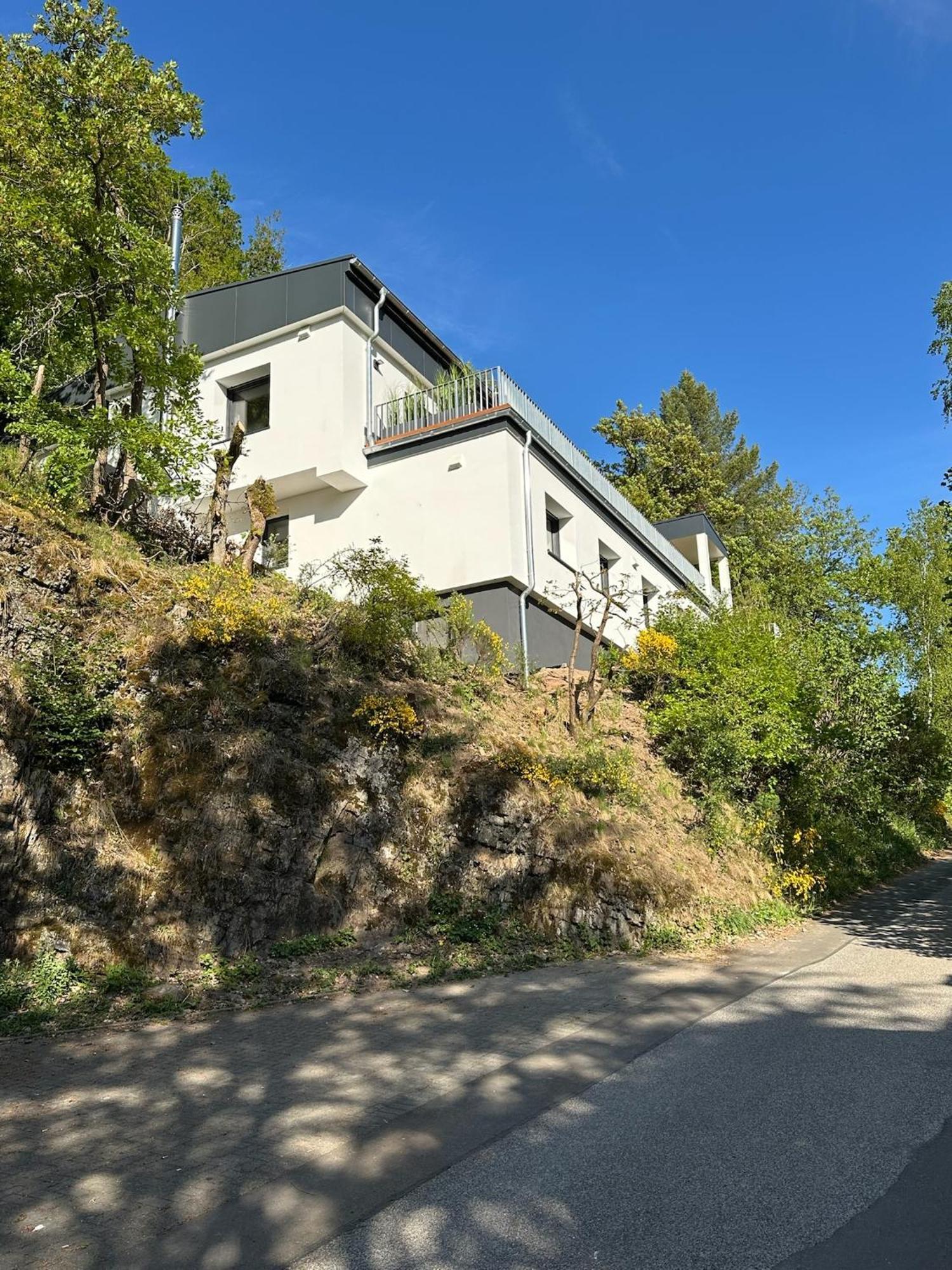 Villa Holgenbach - Penthouse- Und Ferienwohnung Im Nationalpark Eifel Schleiden Kültér fotó