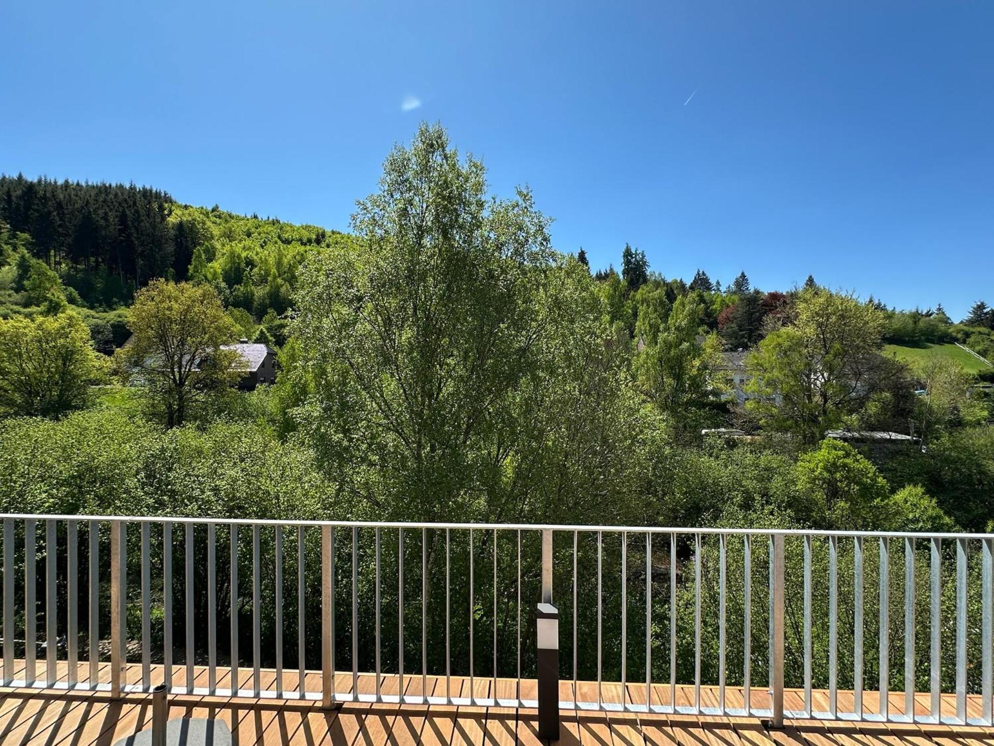 Villa Holgenbach - Penthouse- Und Ferienwohnung Im Nationalpark Eifel Schleiden Kültér fotó