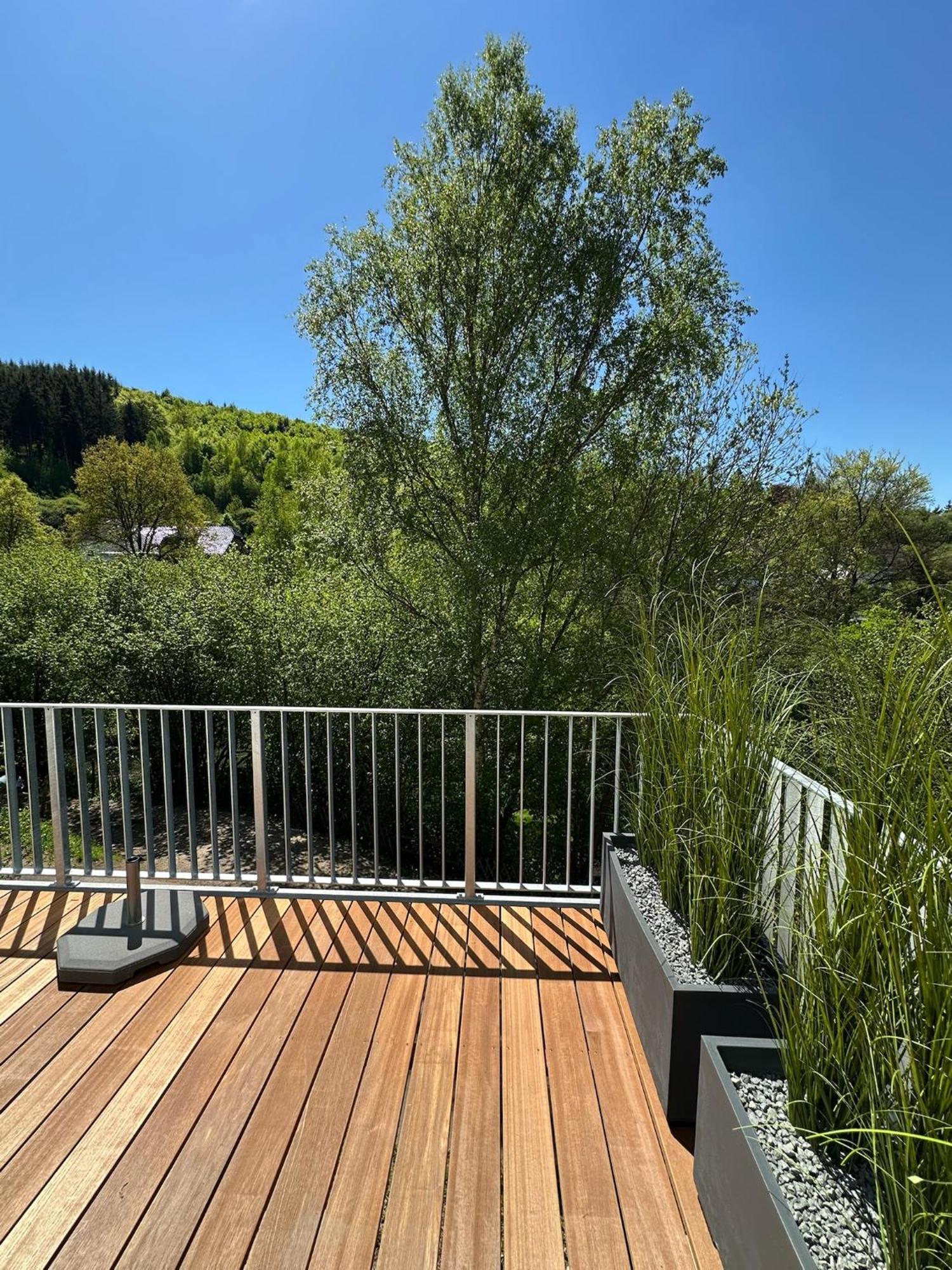 Villa Holgenbach - Penthouse- Und Ferienwohnung Im Nationalpark Eifel Schleiden Kültér fotó